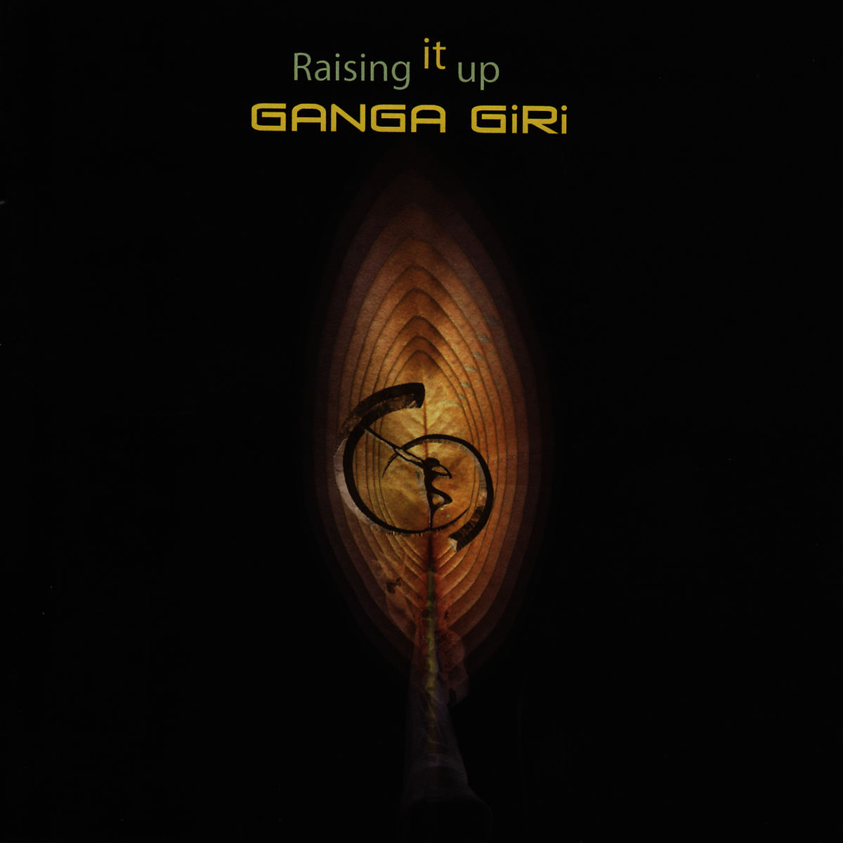 Album cover of Raising It Up