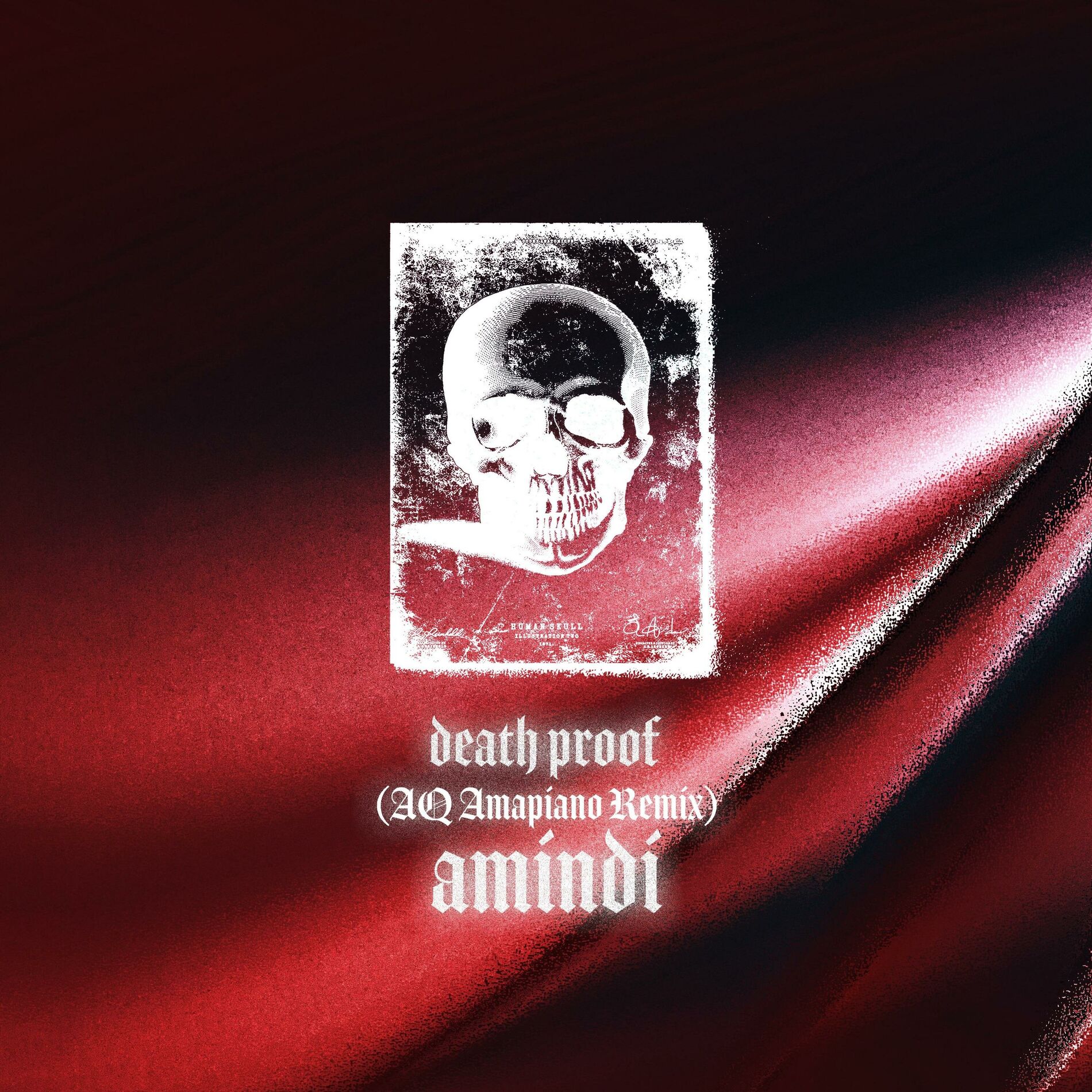 Album cover of Death Proof (feat. AMINDI) [Amapiano Remix]