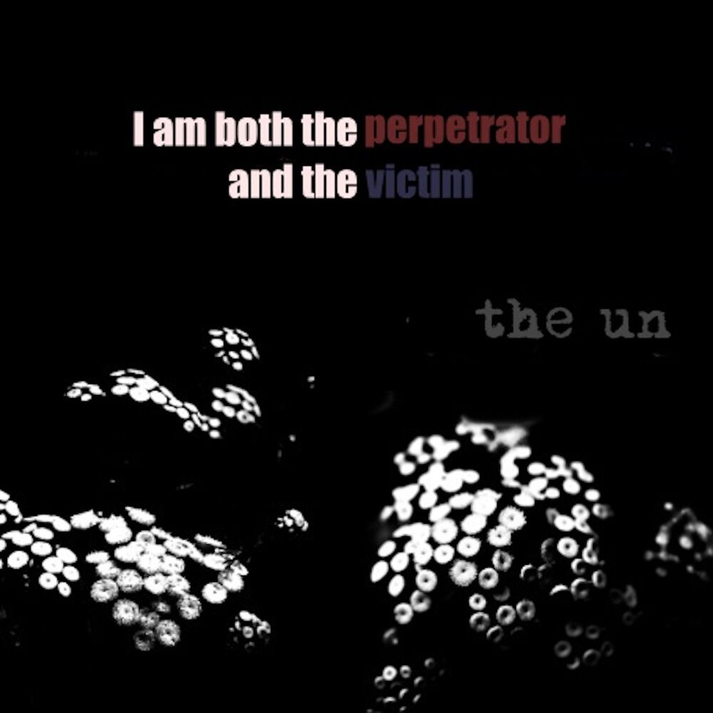 Picture of I am both the perpetrator and the victim