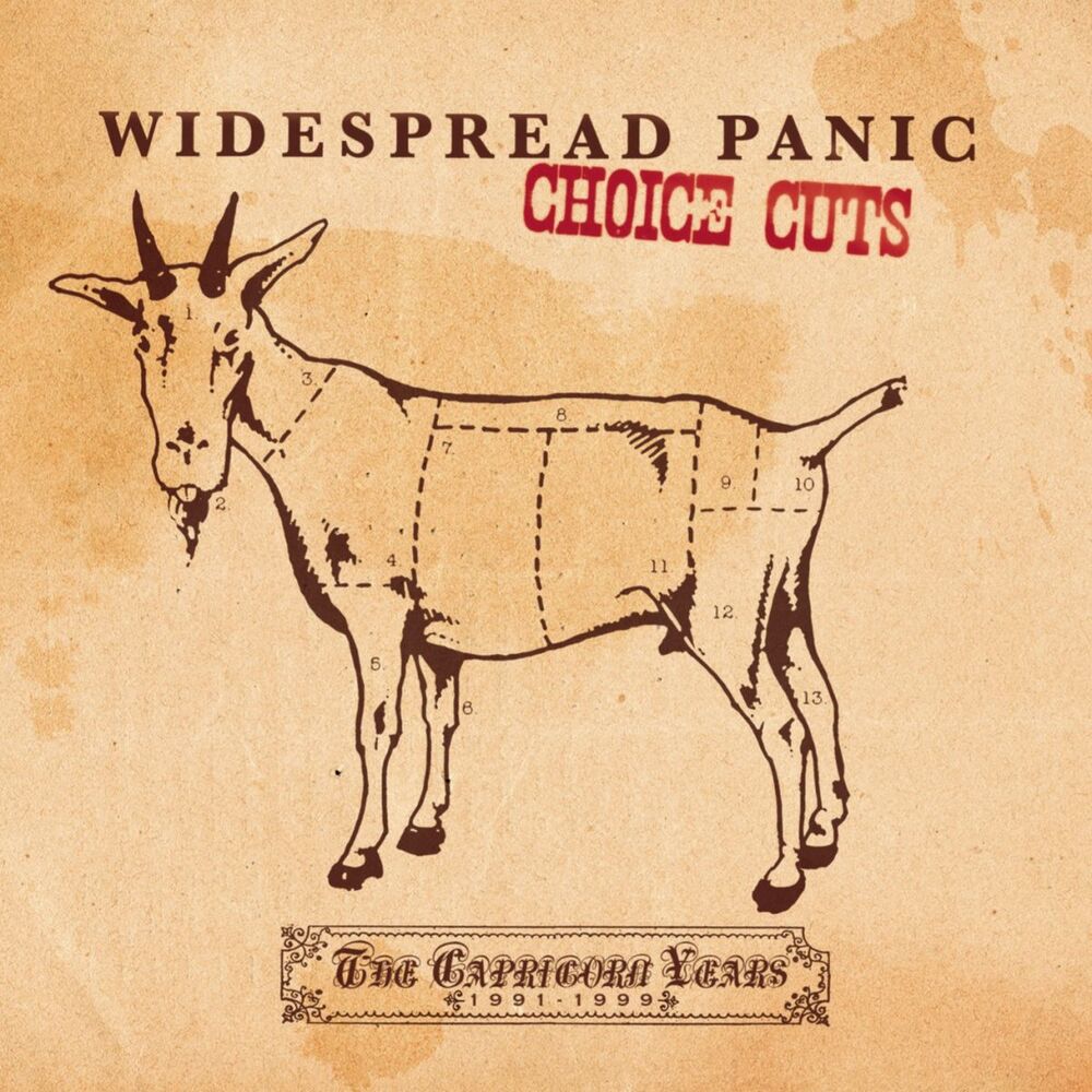 Picture of Choice Cuts: The Capricorn Years 1991-1999