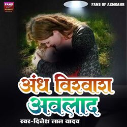 Cover of Andh Vishawash Avlad