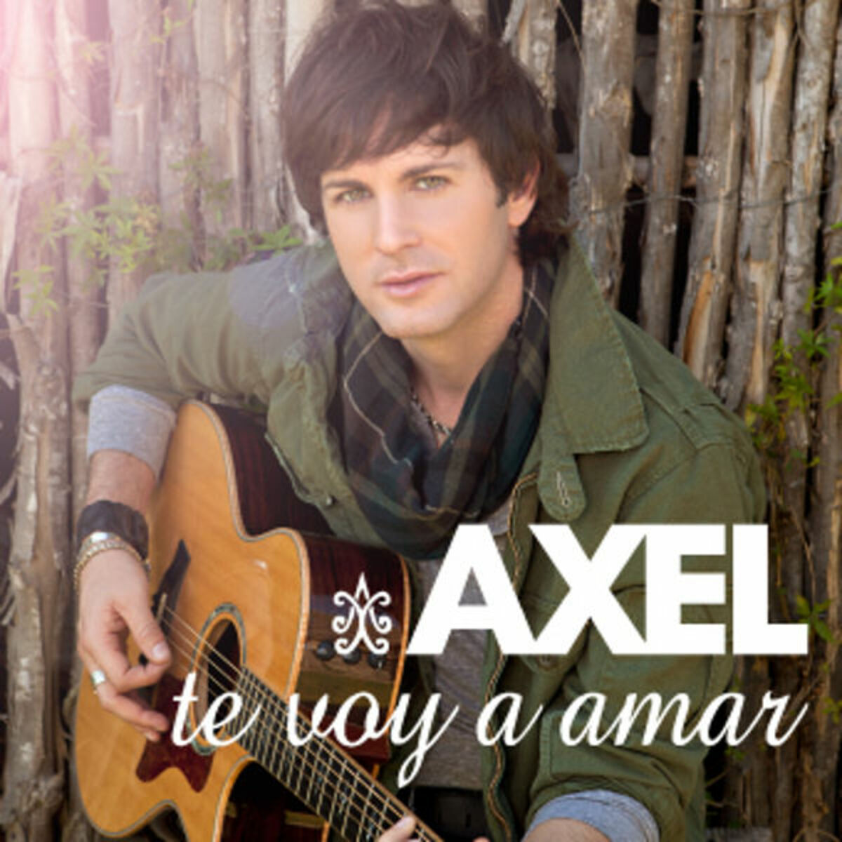Album cover of Te Voy A Amar