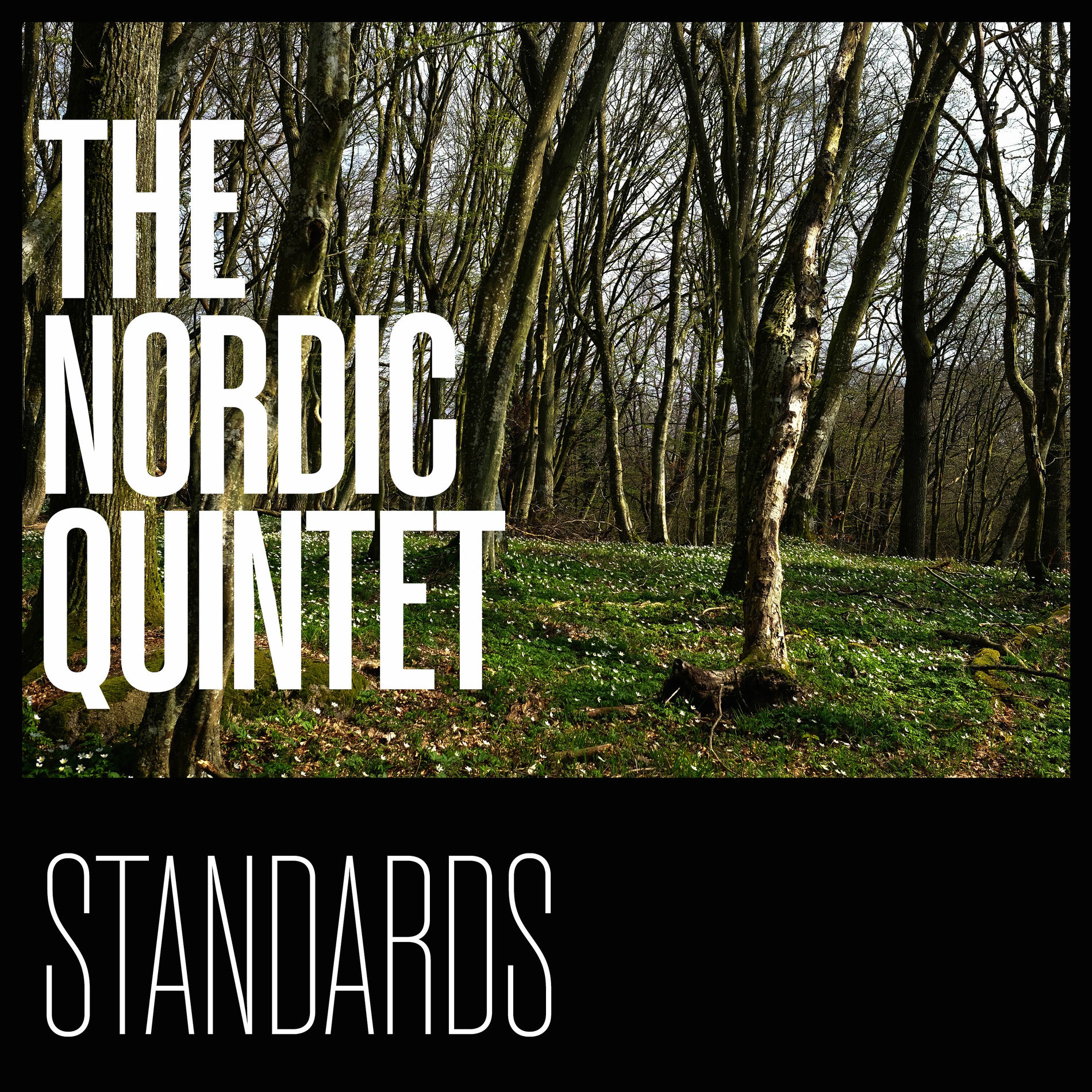 Album cover of Standards by the Nordic Quintet