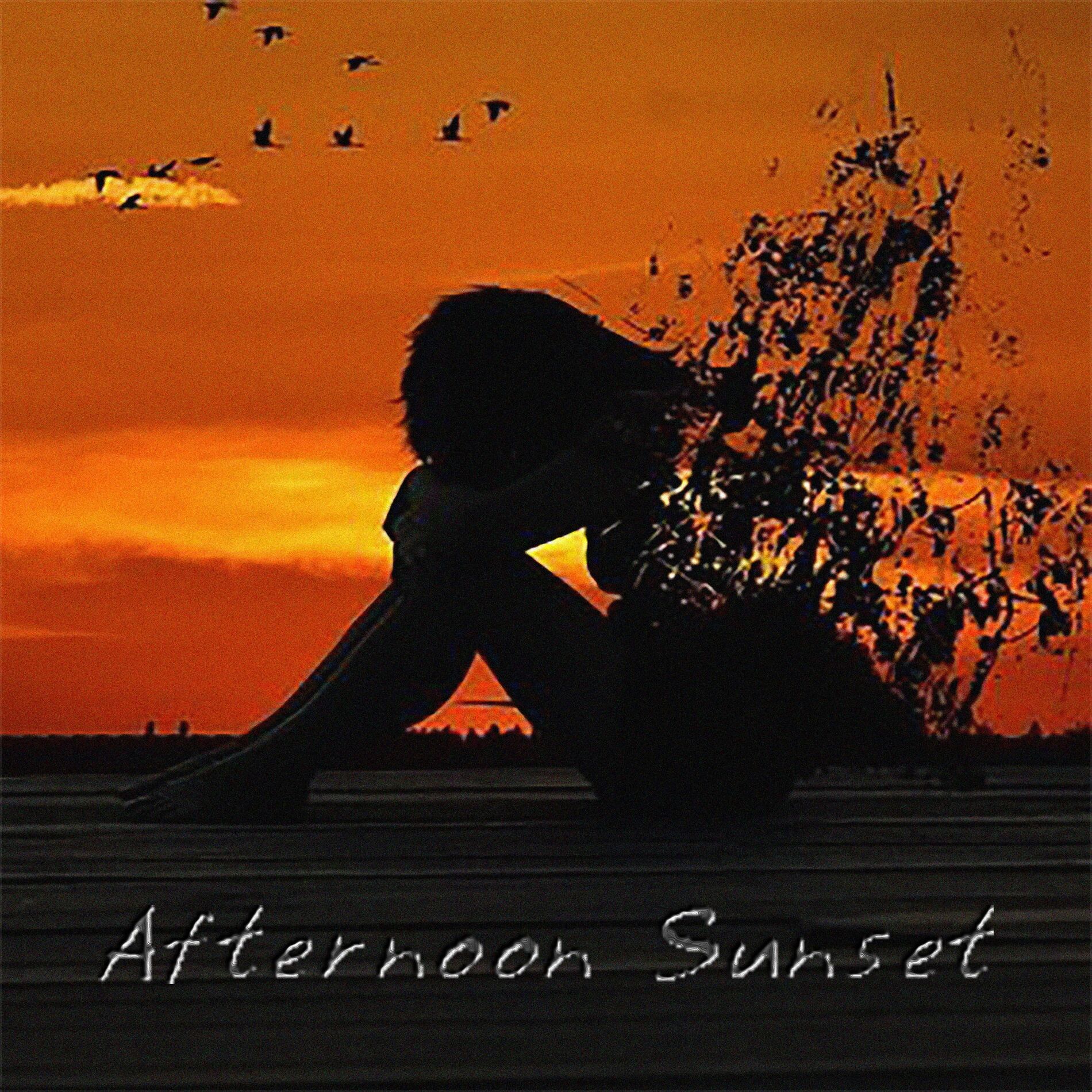 Album cover of Afternoon Sunset