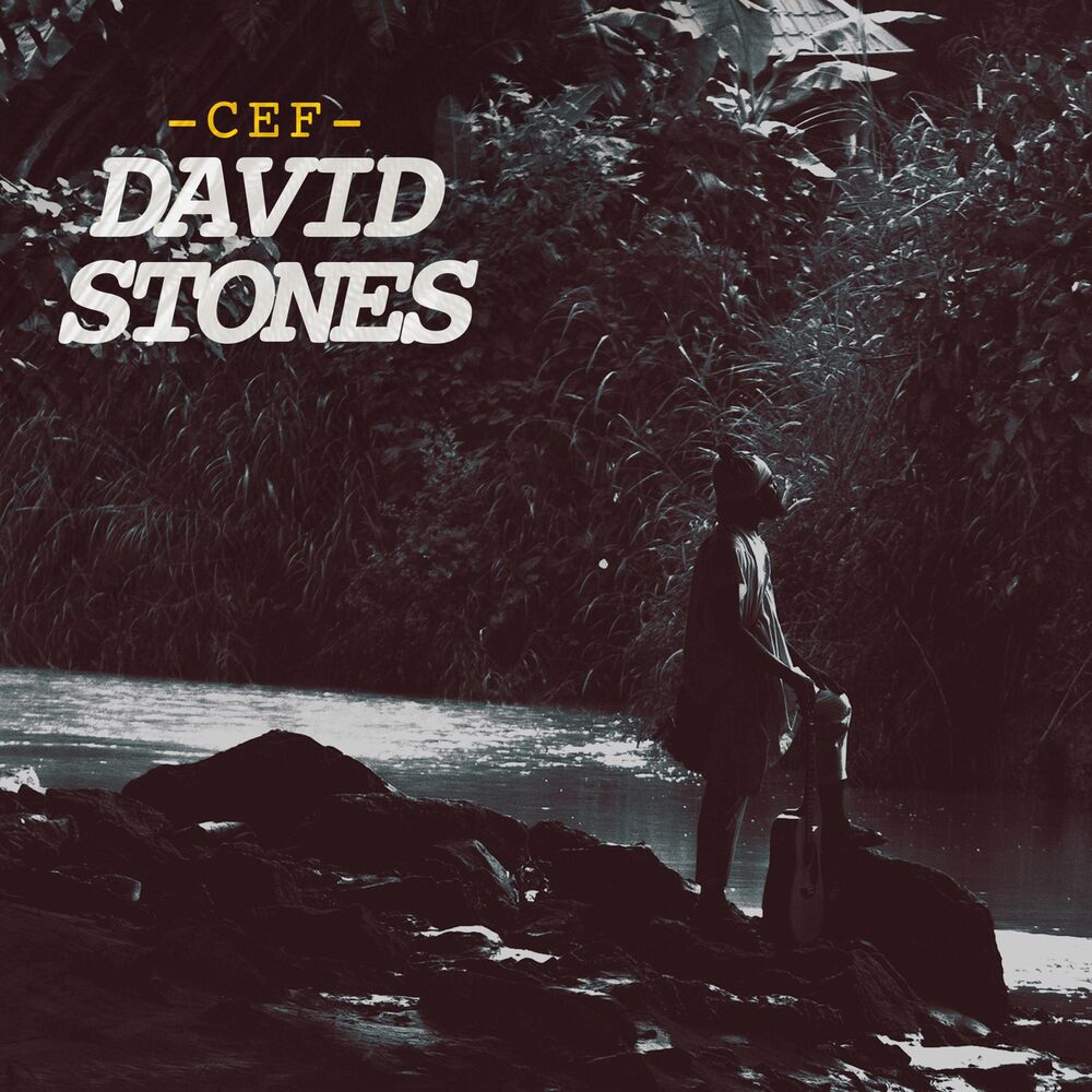 Picture of David Stones