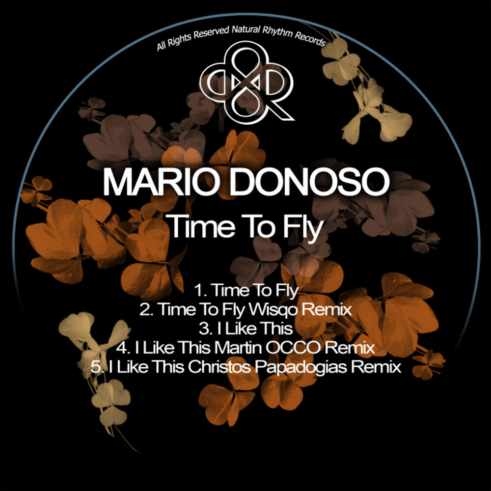 Picture of Time To Fly