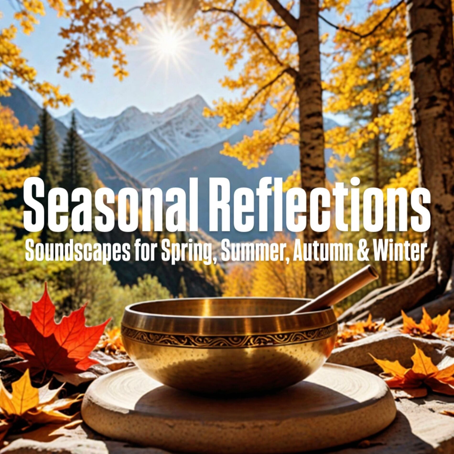 Album cover of Seasonal Reflections
