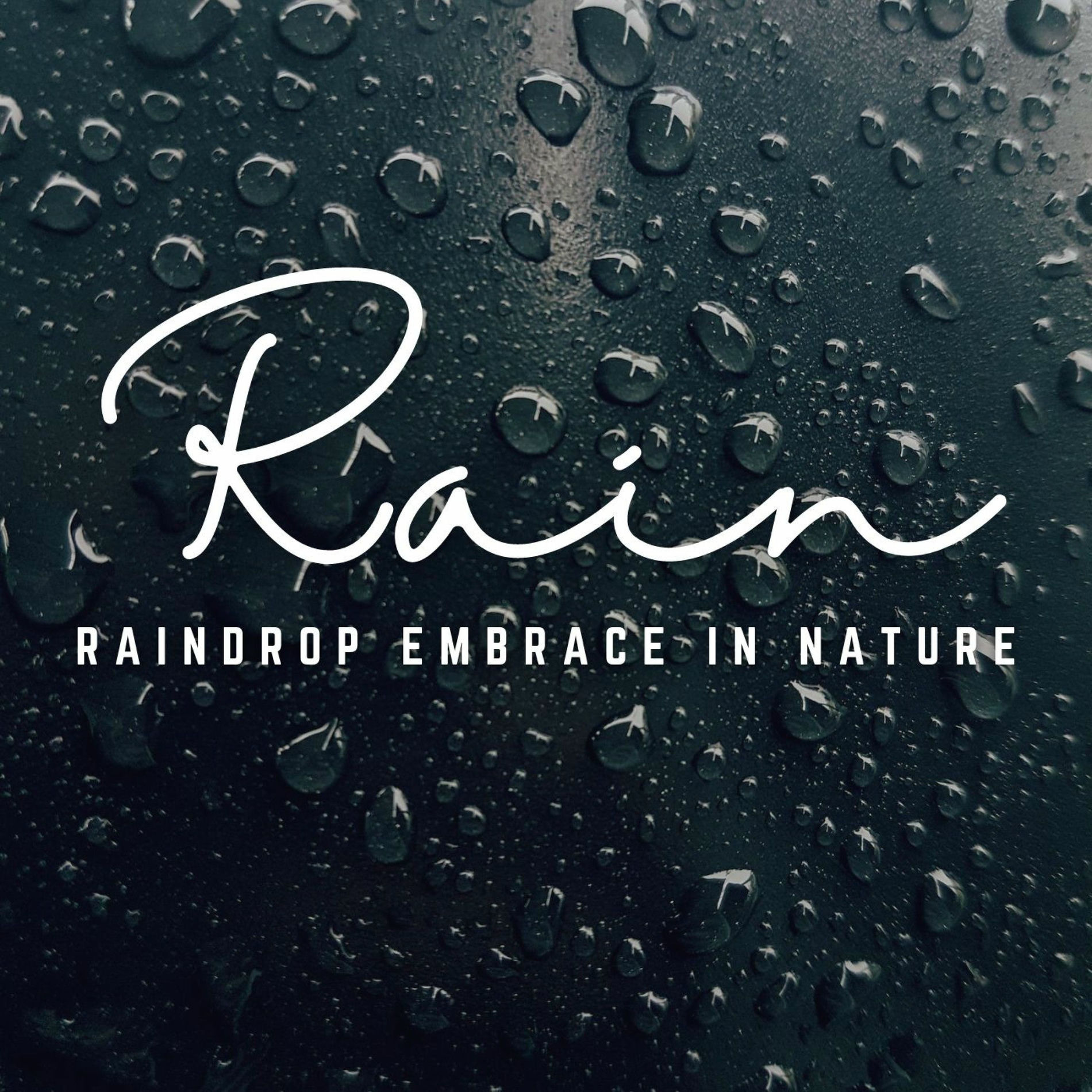 Album cover of Gentle Rainfall Serenades: Embracing Earth
