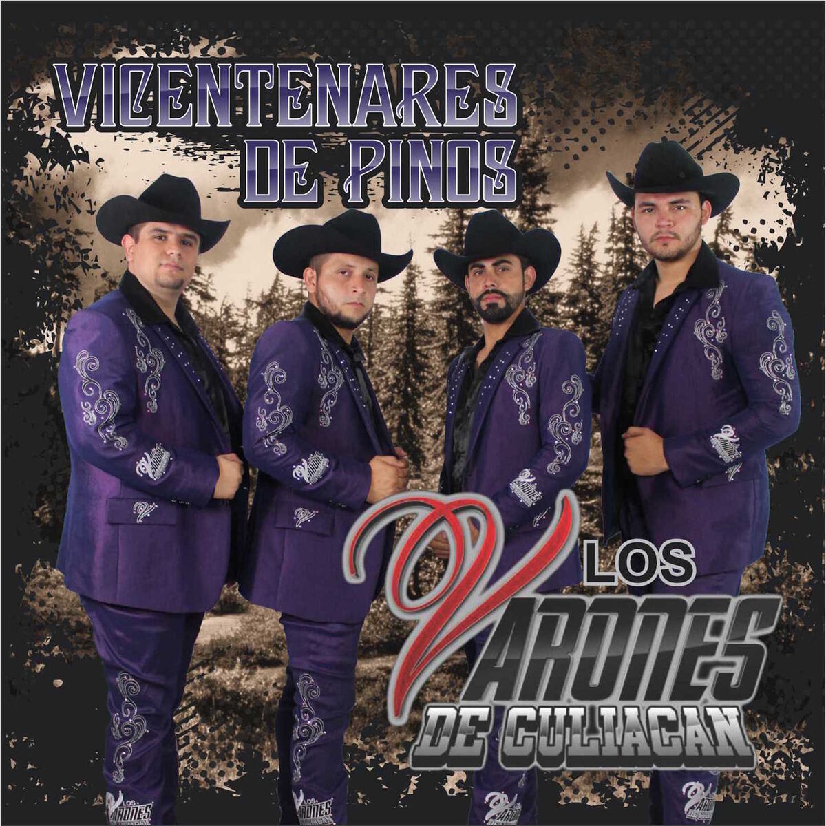 Album cover of Vicentenares De Pinos