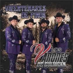 Cover of Vicentenares De Pinos