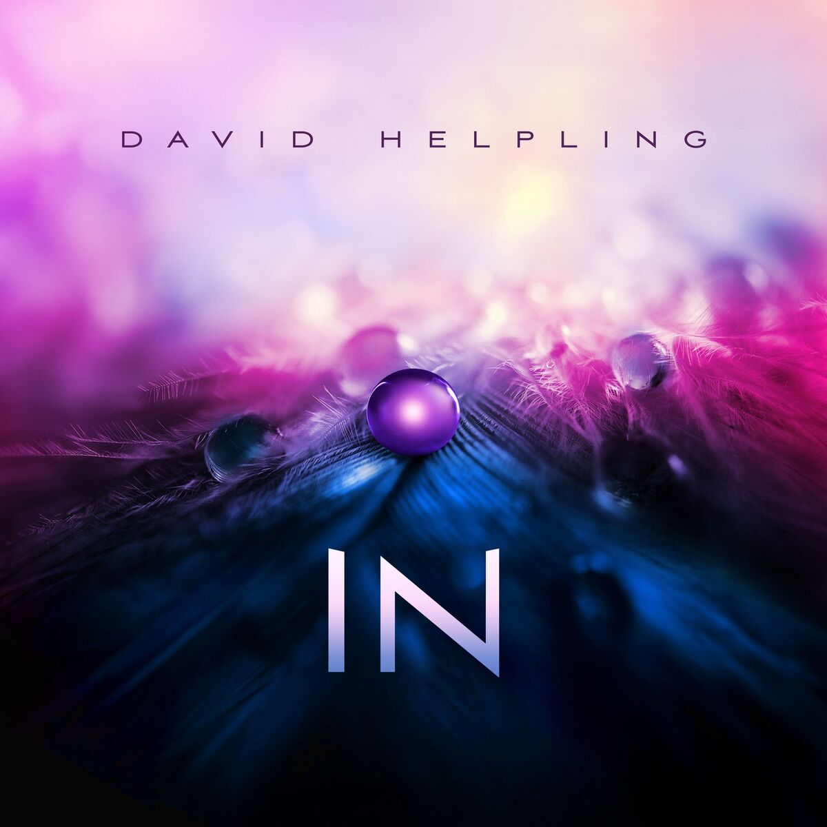 Album cover of IN
