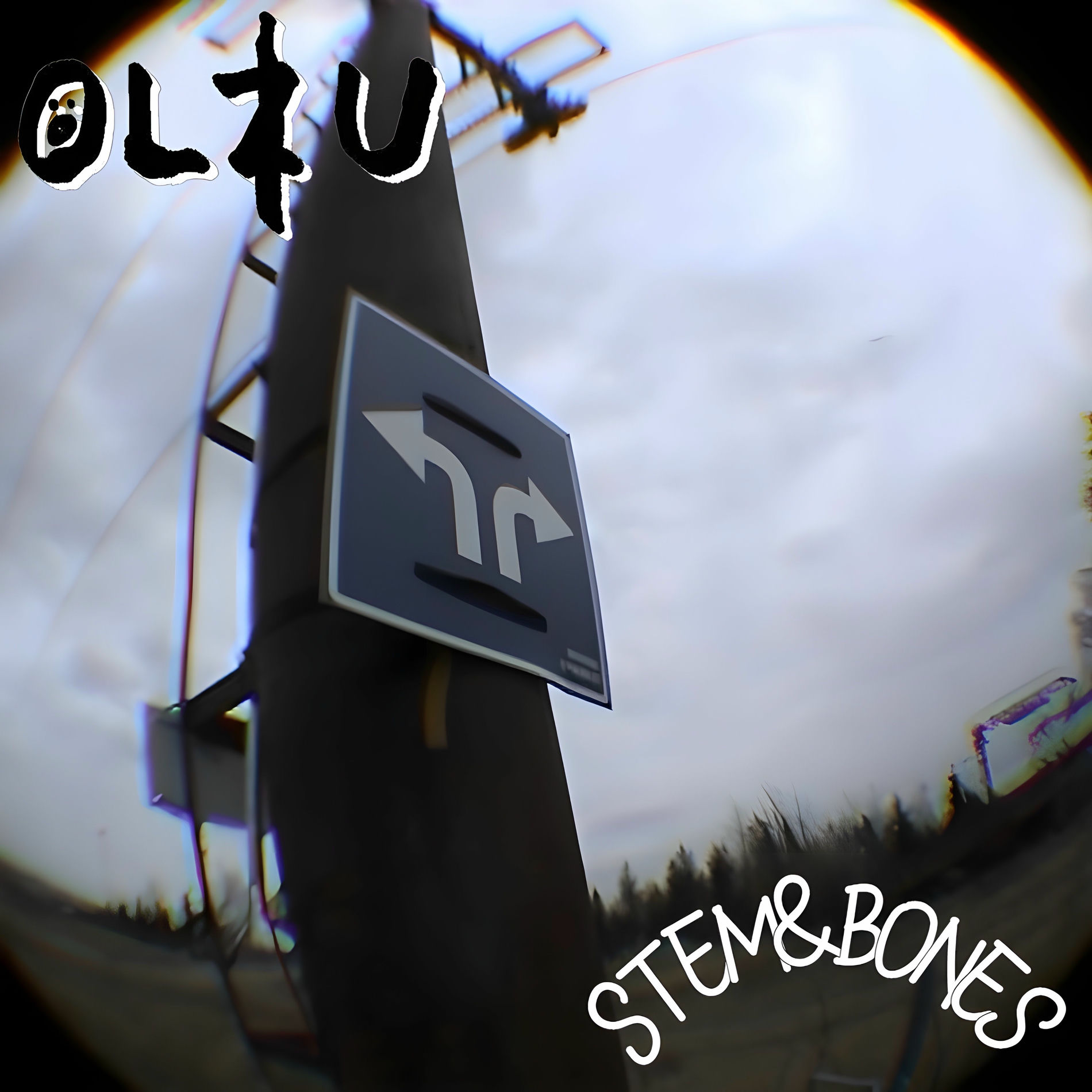 Album picture of Stem & Bones