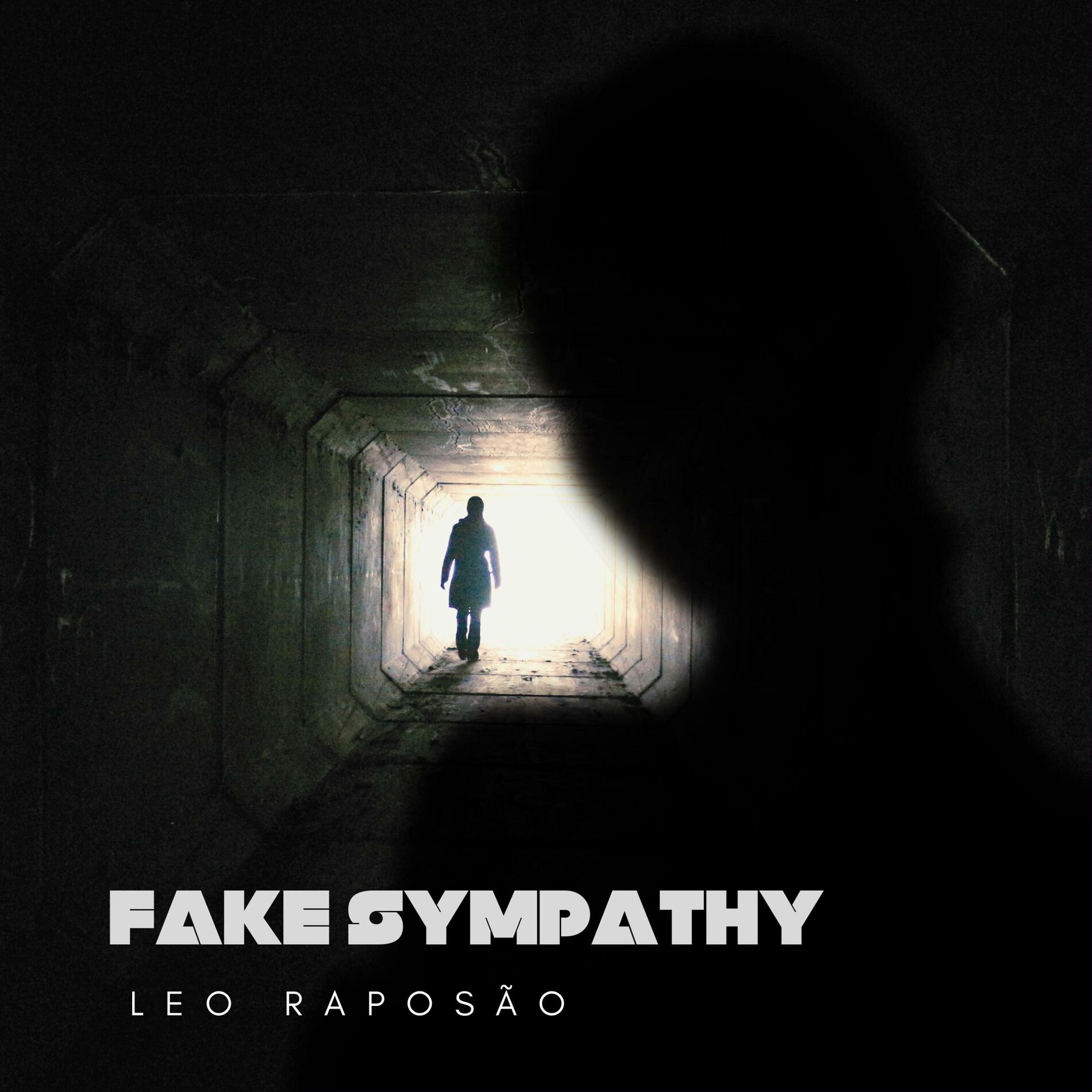 Album cover of Fake Sympathy (feat. Aline Costa)