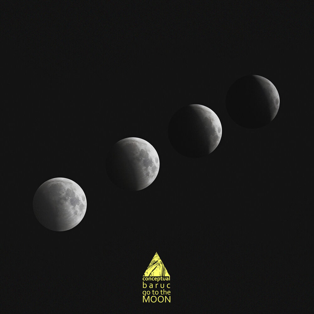 Picture of Go to the Moon