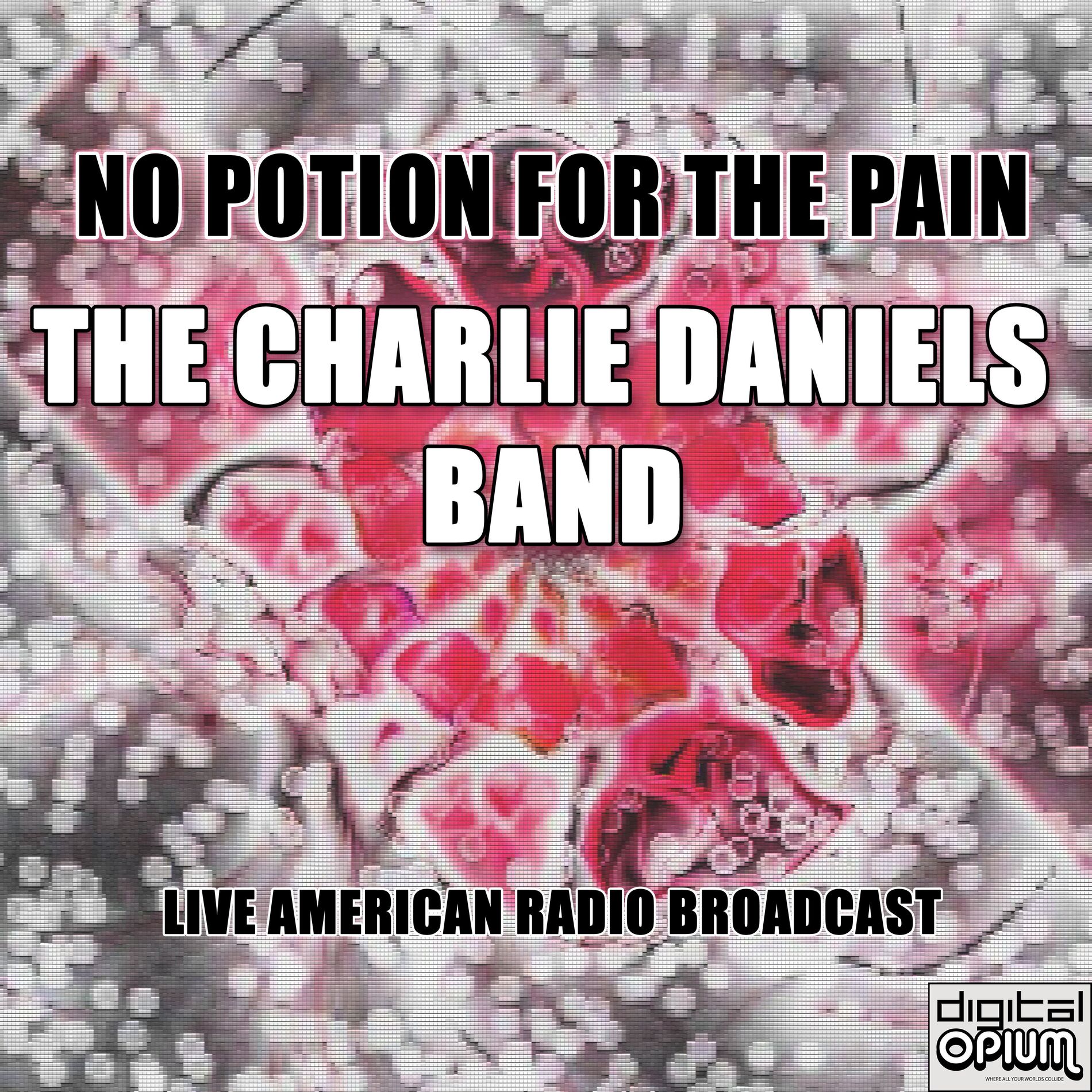 Album cover of No Potion For The Pain (Live)