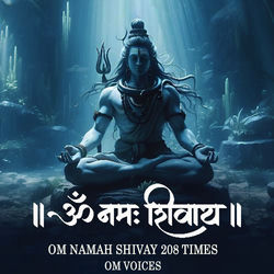 Cover of Om Namah Shivaya 208 Times by undefined