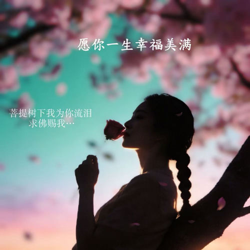 愿你一生幸福美满 (菩提树下我为你流泪 求佛赐我)