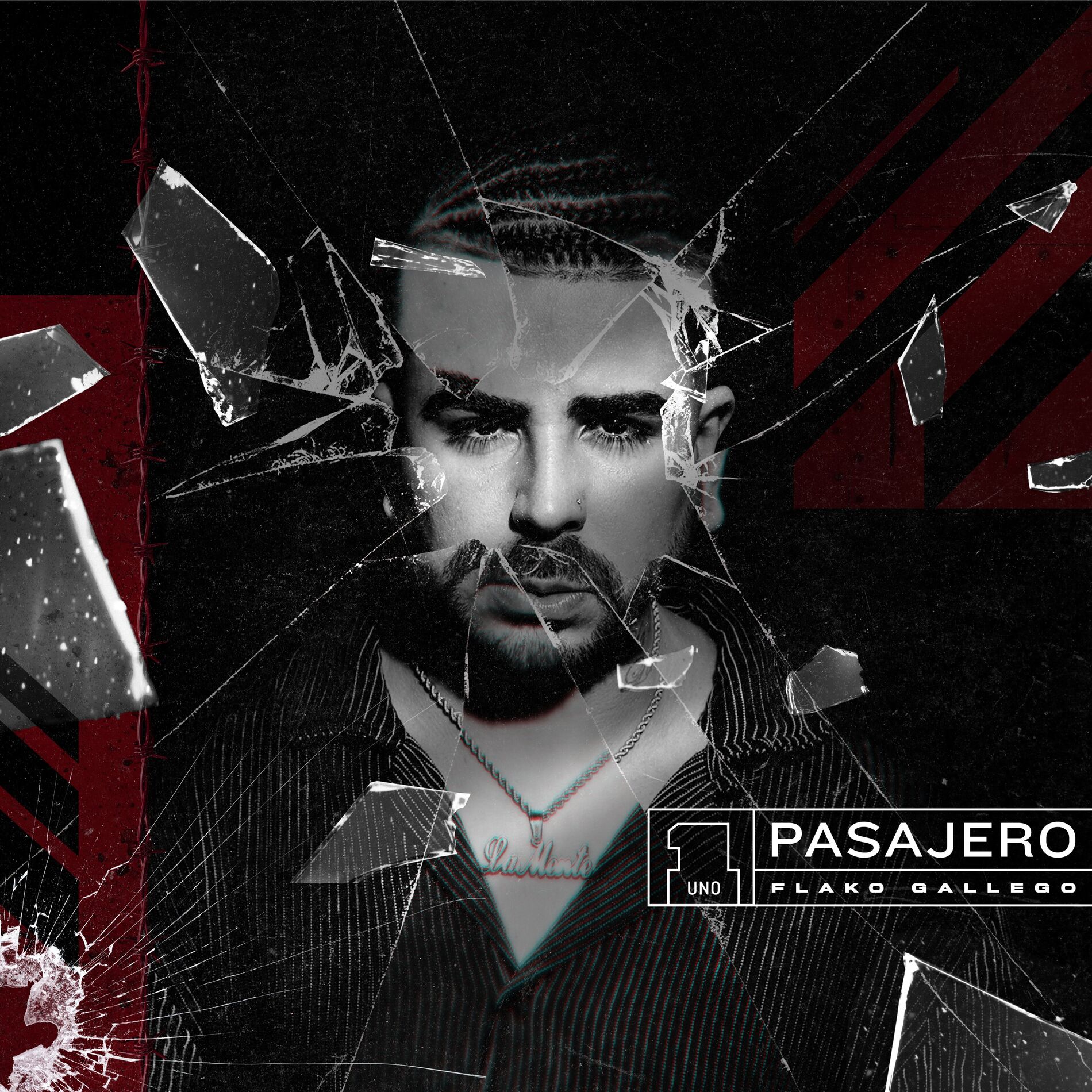 Album cover of Pasajero