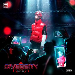 Cover of DIVERSITY