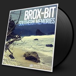 Cover of Southern Memories