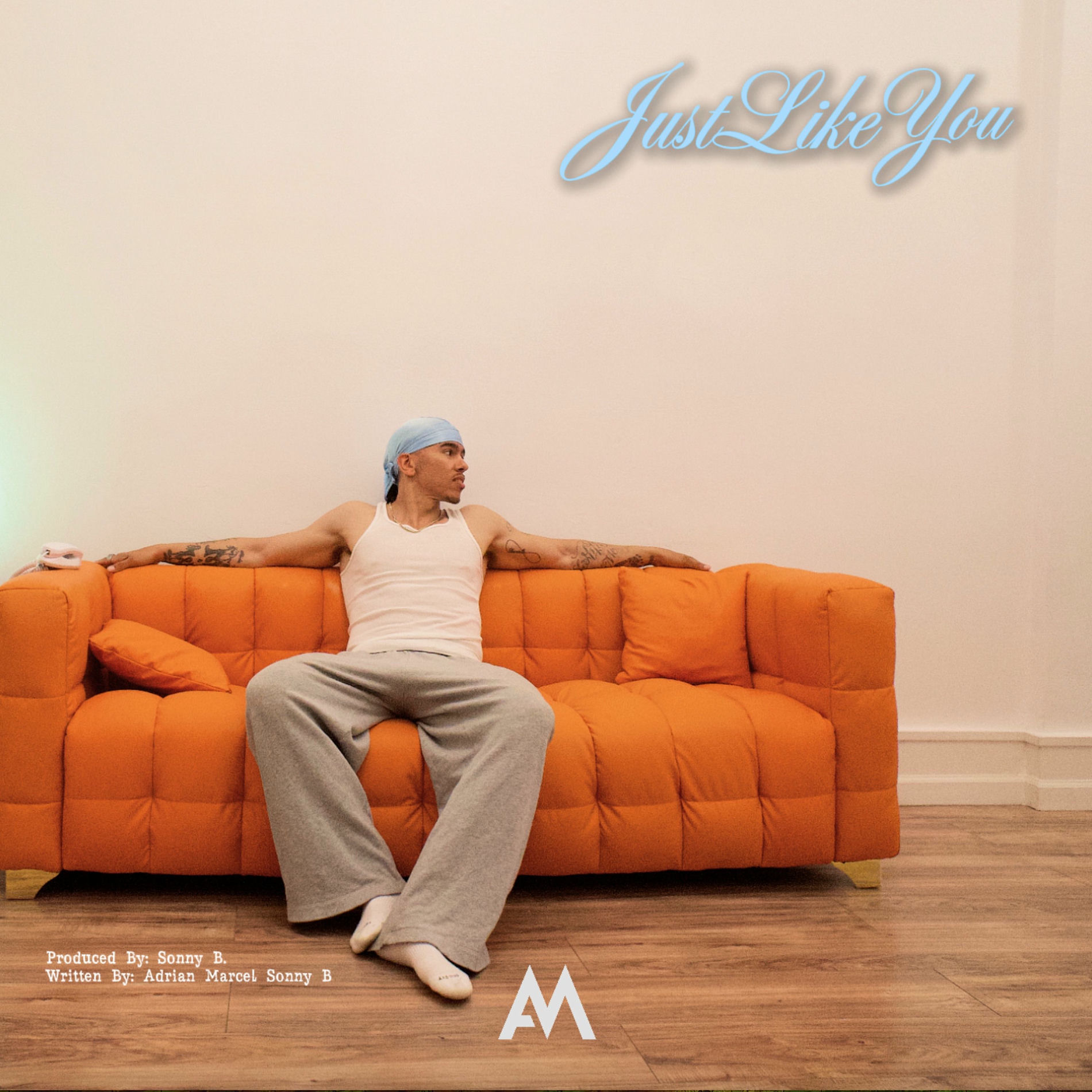 Album cover of Just Like You