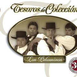 Cover of Tesoros De Colección