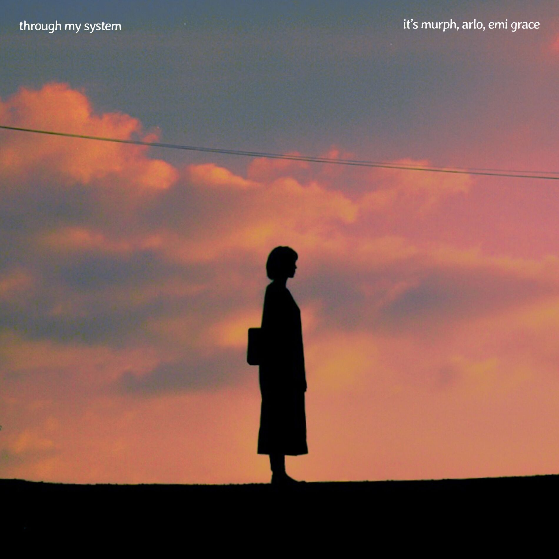 Album cover of Through My System