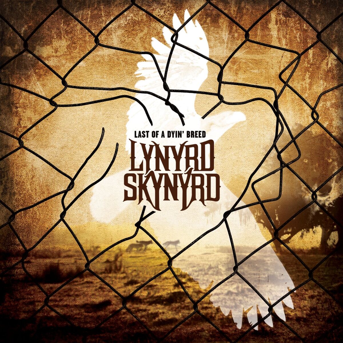 Album cover of Last of a Dyin' Breed