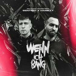 Cover of Wenn ich bang