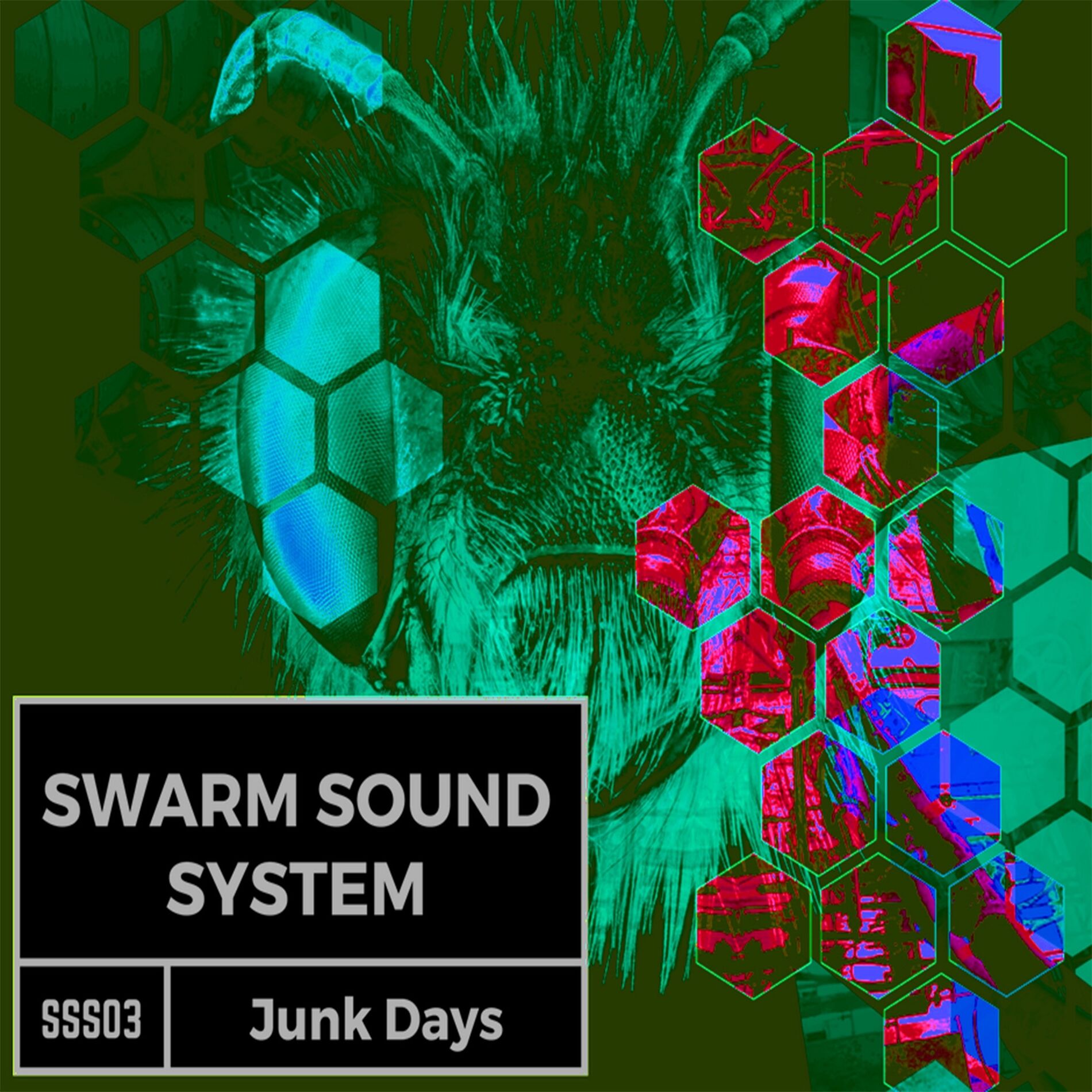 Album cover of Junk Days