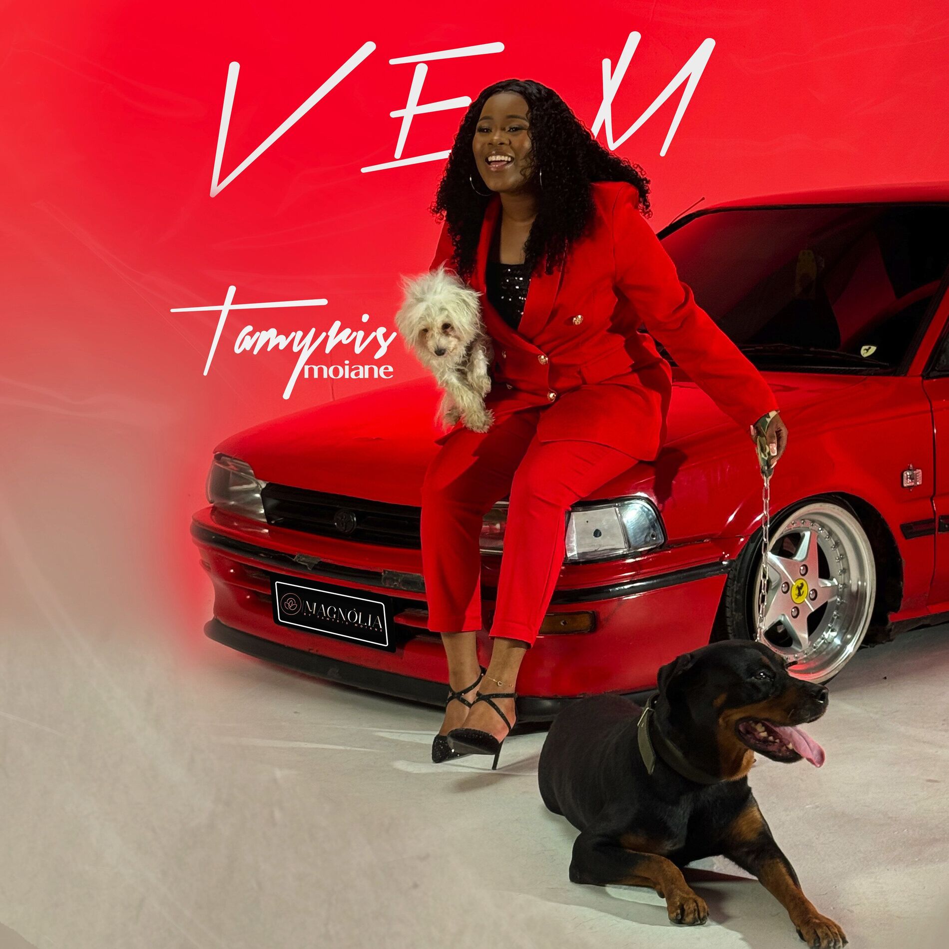 Album cover of Vem