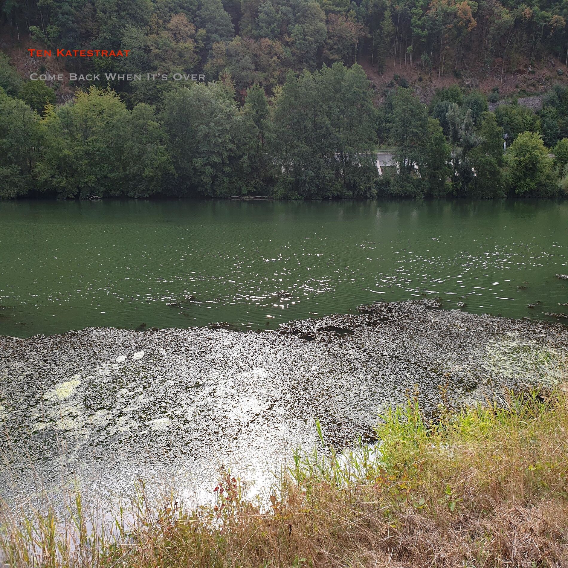 Album cover of Come Back When It's Over