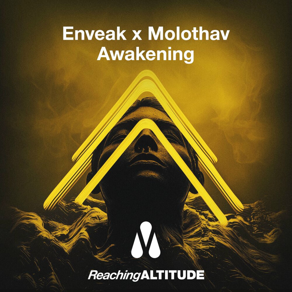 Album cover of Awakening