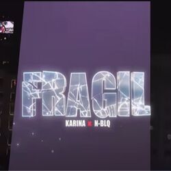 Cover of Fragil