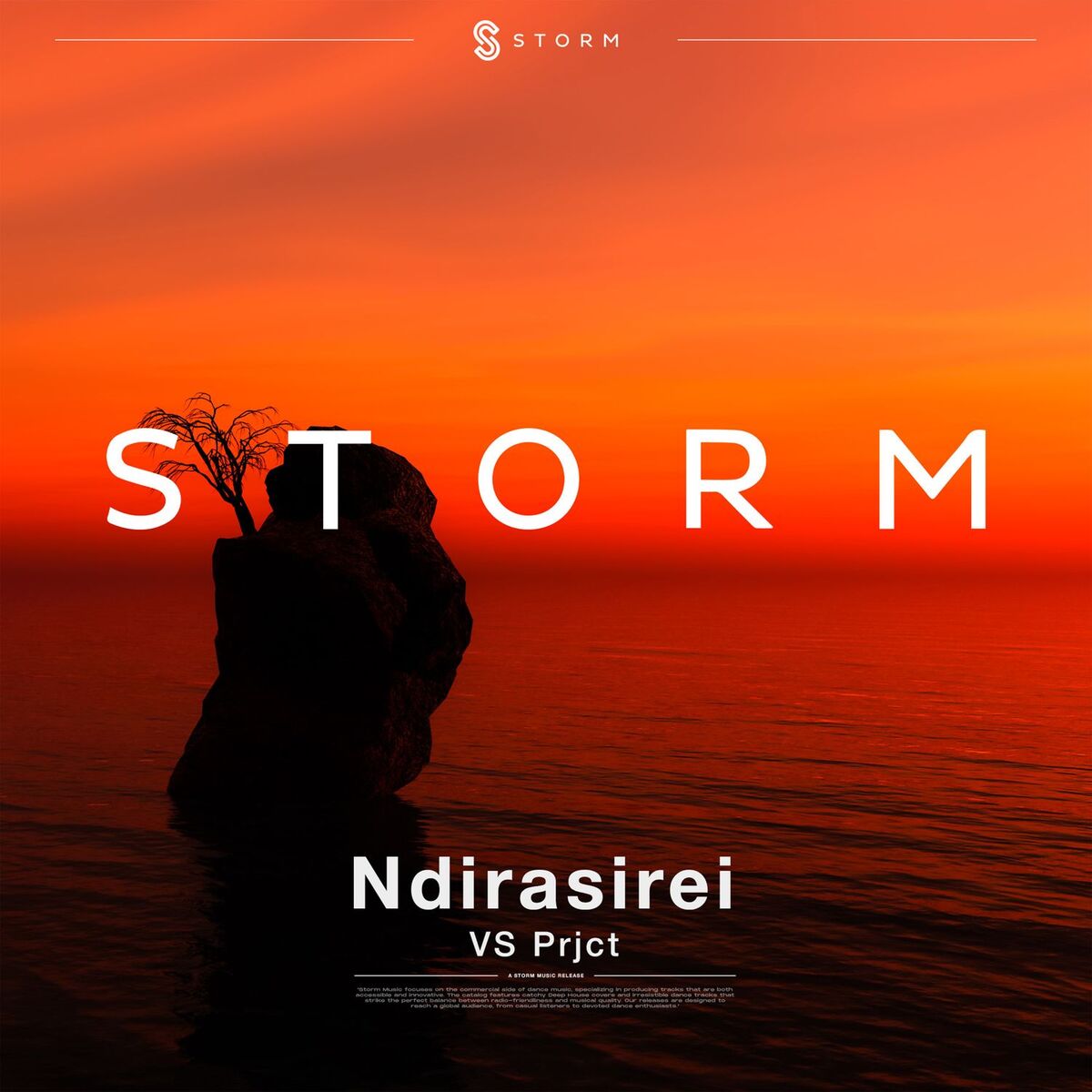 Album cover of Ndirasirei