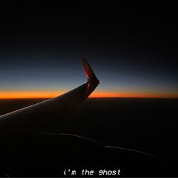 Cover of I'm the Ghost