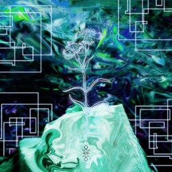 Cover of oculi5