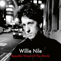 Cover of Beautiful Wreck Of The World (Remastered)