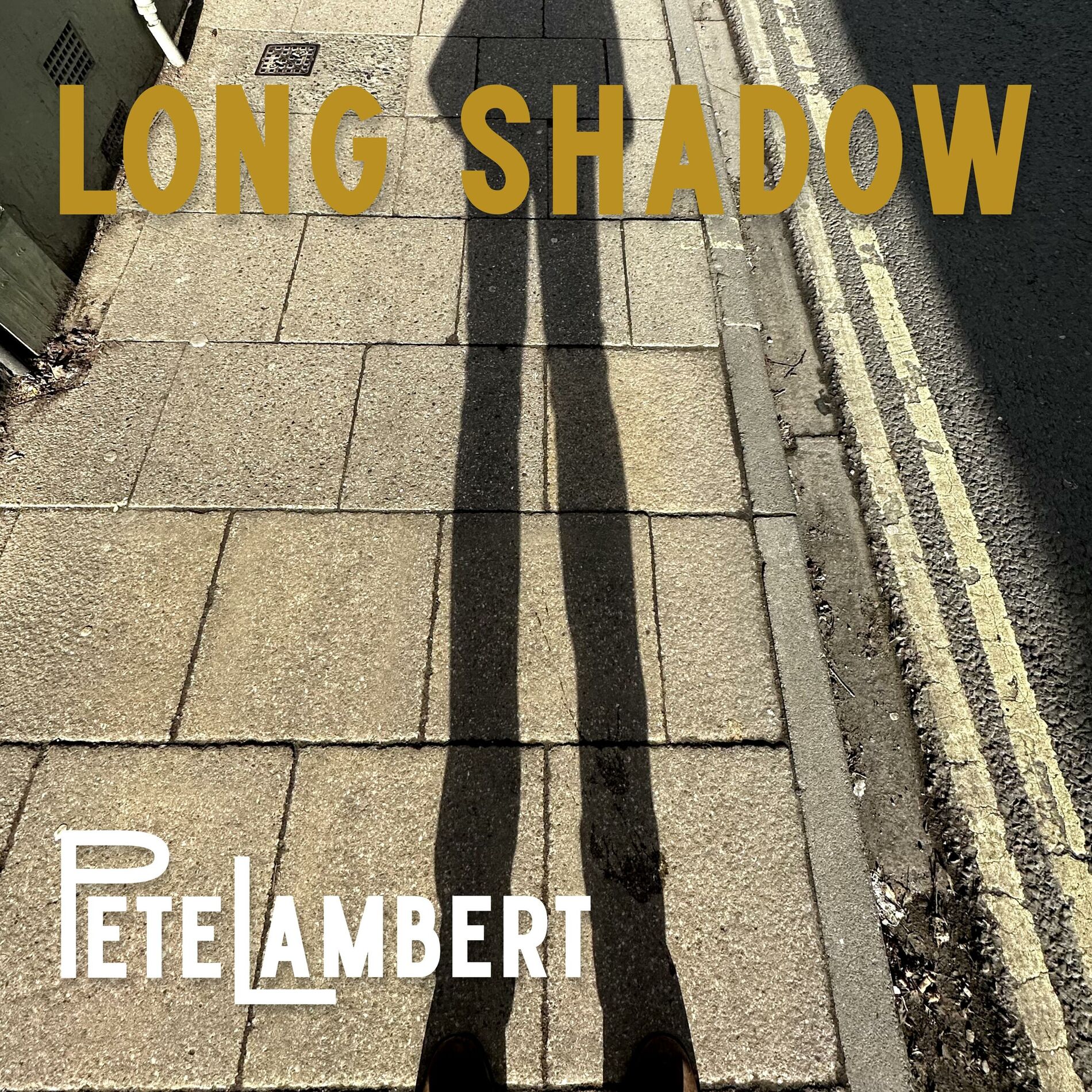 Album cover of Long Shadow