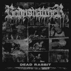 Cover of Dead Rabbit
