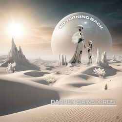 Cover of No Turning Back (Radio Edit)