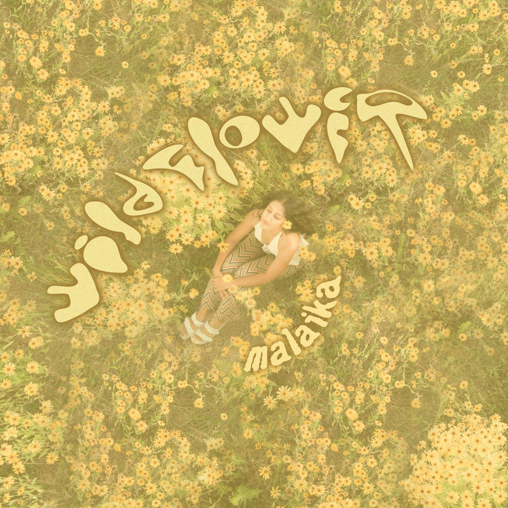 Wildflower cover