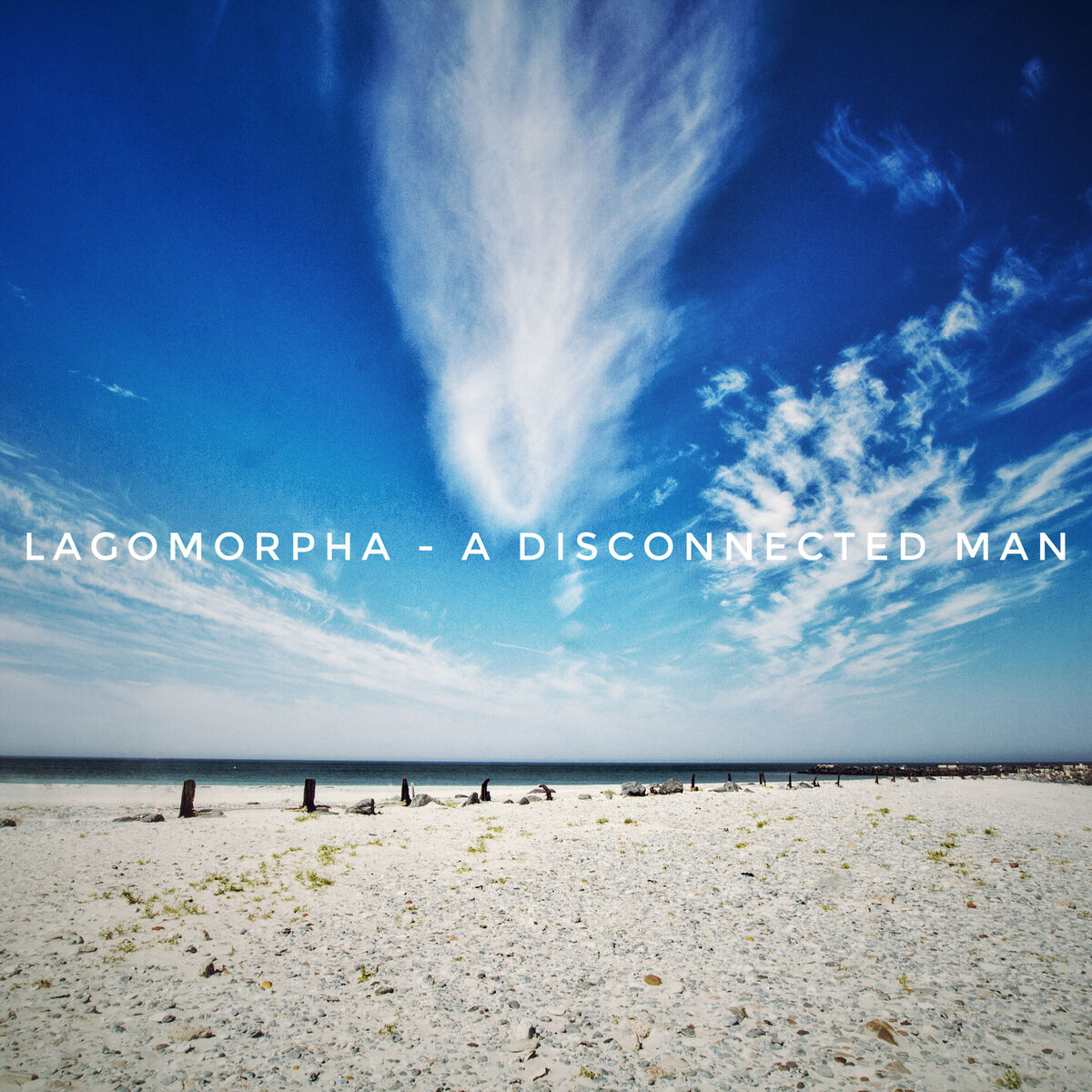 Album cover of A Disconnected Man