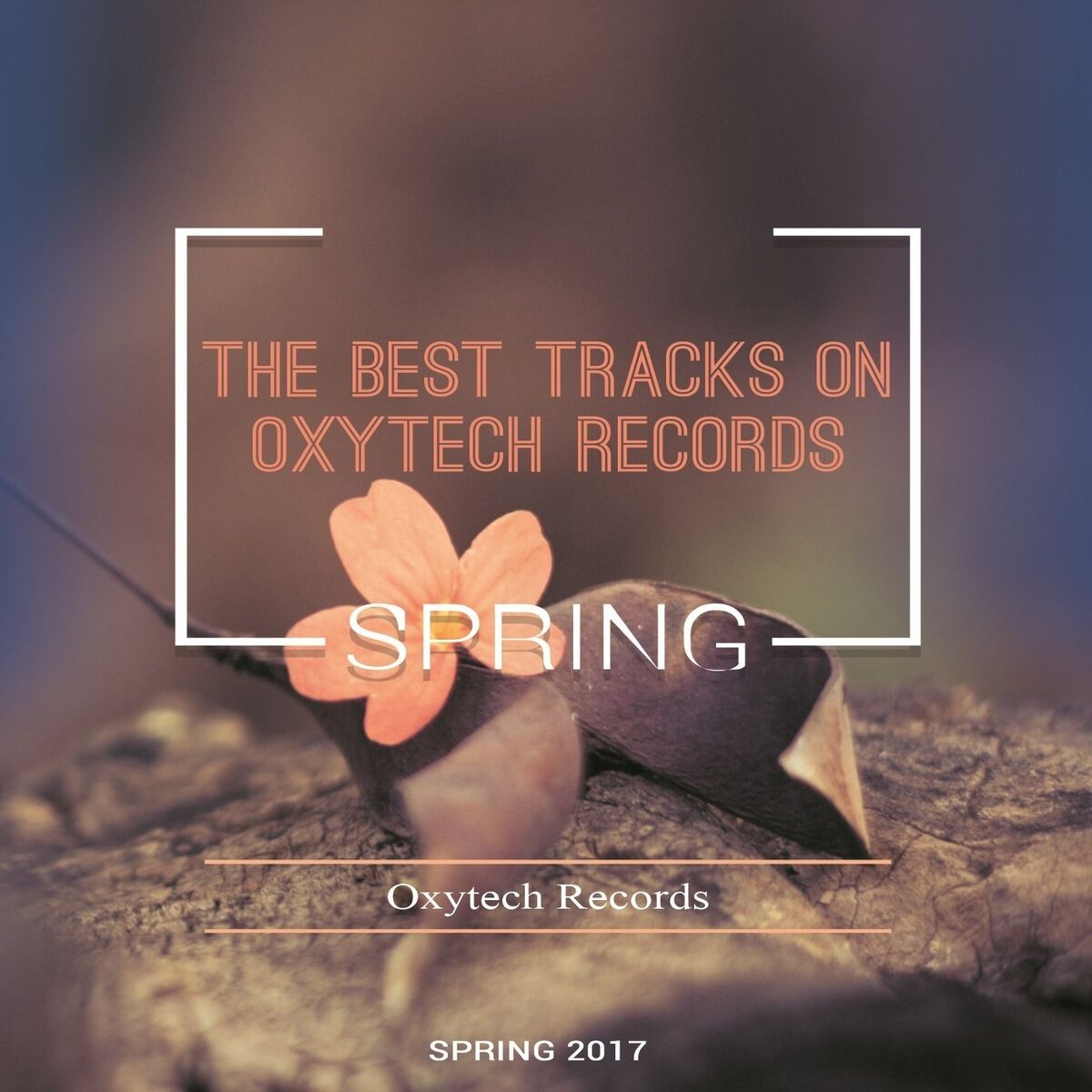 Album cover of The Best Tracks on Oxytech Records. Spring 2017