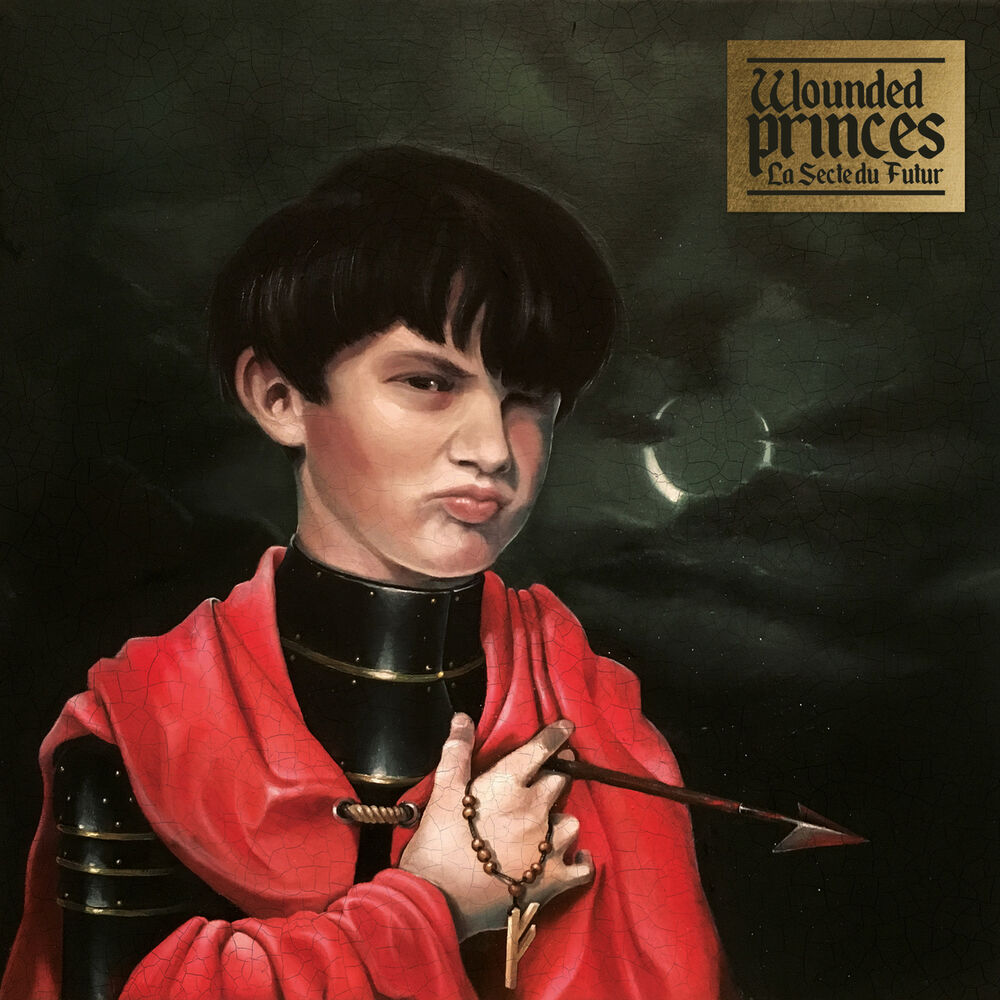 Picture of Wounded Princes