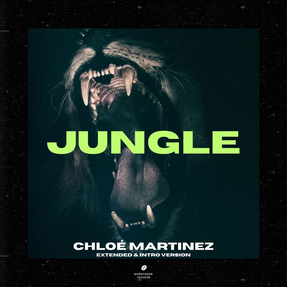 Picture of Jungle (Extended & Intro Version)