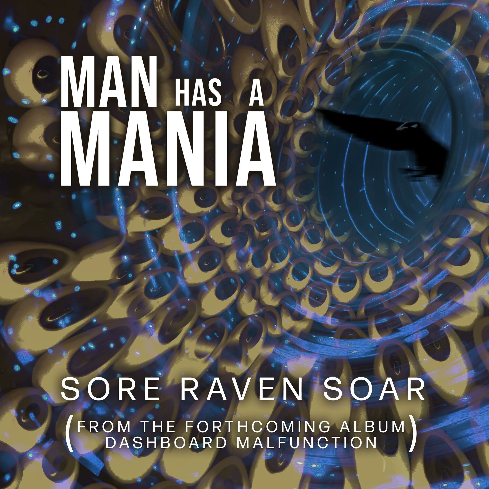 Album cover of Sore Raven Soar