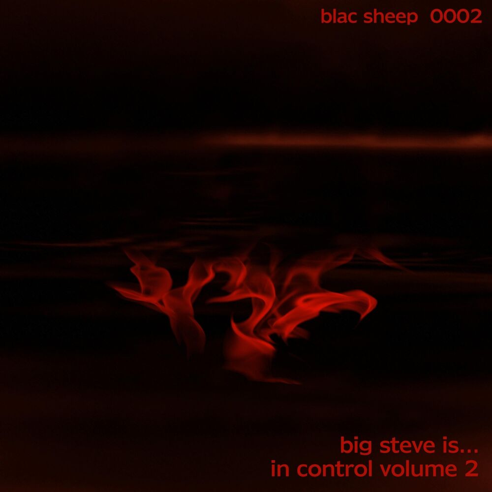 Picture of In Control, Vol. 2