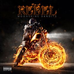 Cover of I'm a Rebel