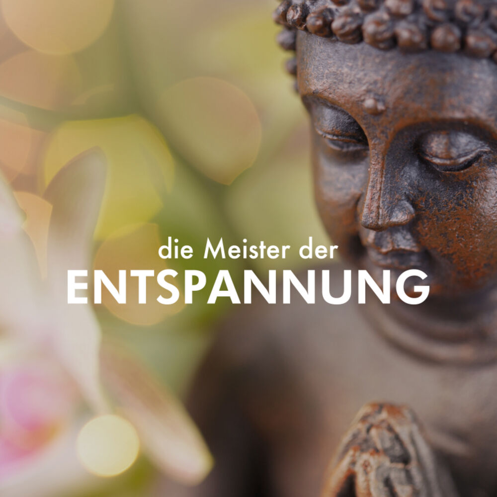 Picture of die Meister der Entspannung - 2 Stunden entspannender Musik mit Naturgeräuschen